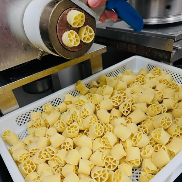Freshly made Italian pasta, rotelle, being cut from a pasta machine into a white bin.